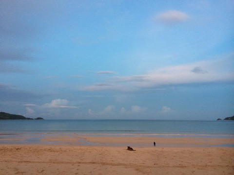 朝の散歩は、ホテルから5分のパトンビーチで